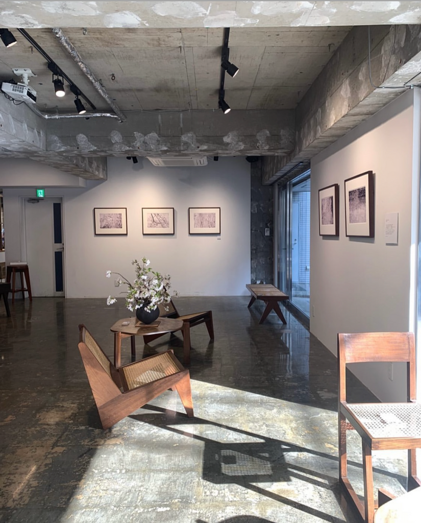 〈菅原 一剛〉春のお花とピエールジャンヌレ展