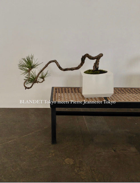 PIERRE JEANNERET TOKYO展示販売会のお知らせ